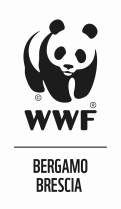 WWF-OA-BERGAMO-BRESCIA-100_ridotto