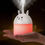 Thumbnail: A desktop humidifier with colorful ambient light (250ml Capacity)