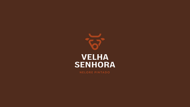 100423_velha_senhora_mockup01_rj_01.png