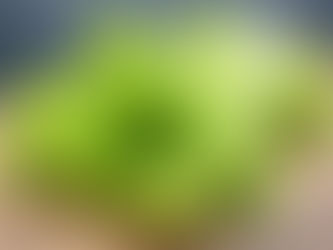 芹菜的健康益處:長者飲食的理想選擇