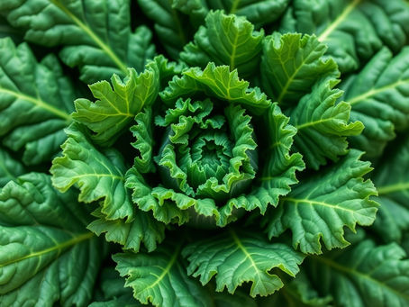 羽衣甘藍的健康魅力:長者飲食的理想選擇
