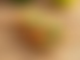 全麥麵包:長者健康飲食的絕佳選擇