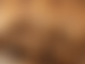 核桃:長者健康的最佳伴侶