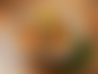 藜麥:長者健康飲食的超級食品