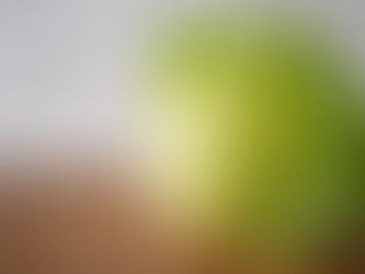 椰菜的健康力量:長者飲食中的絕佳選擇