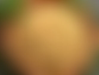 糙米:長者健康飲食的理想選擇