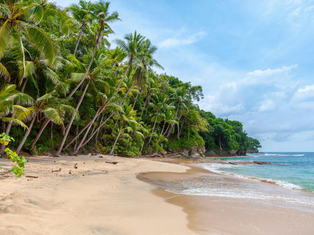 Tropical vacation beach