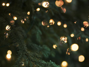 Evergreen tree full of Christmas magic through the holiday chaos