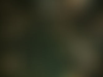 Evergreen tree full of Christmas magic through the holiday chaos