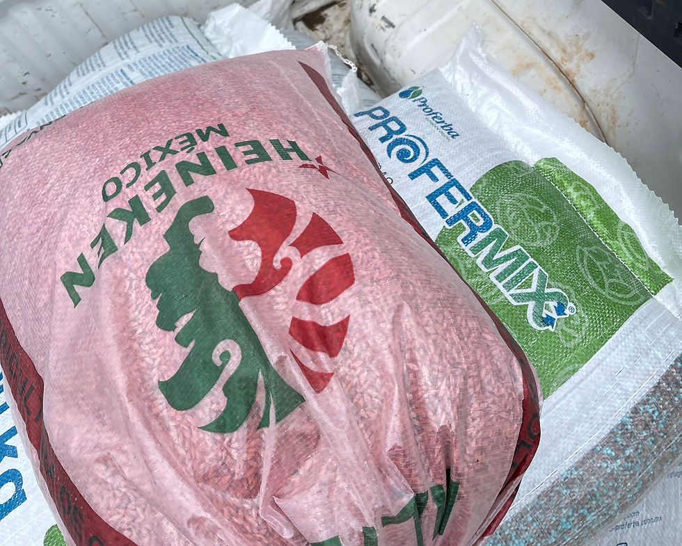 fertilizantes para cebada maltera