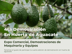 Nutrición, Bioestimulación y Riego Eficiente en Aguacate - Demostración Mazamitla, Jalisco