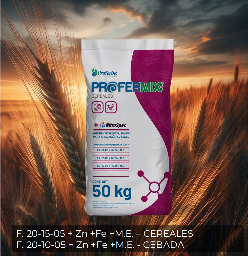 fertilizante para cebada y trigo