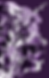 website home backgrd img.png