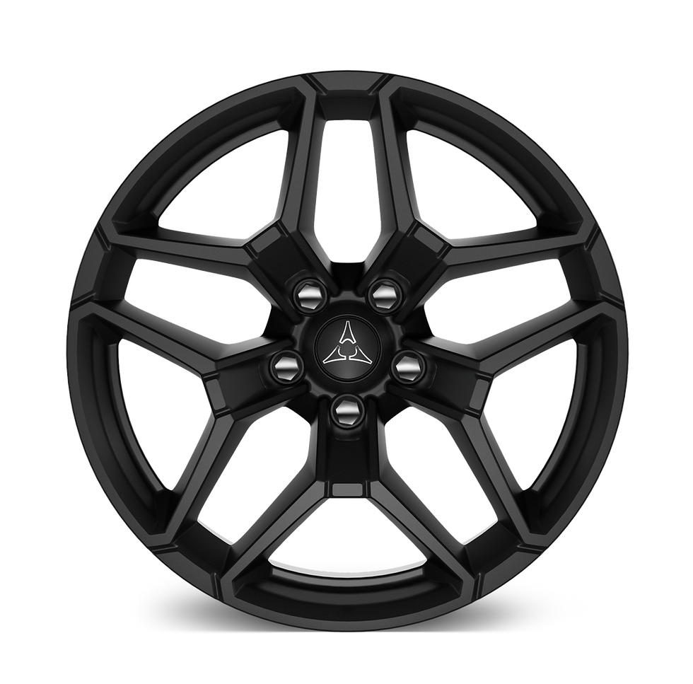 20x10-inch Black Noise //  (WRS) Included with Blacktop Package