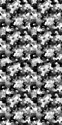 CAMO-BG-LONG-1.png