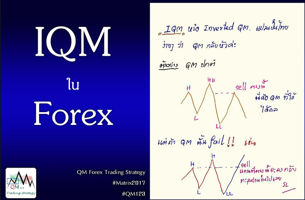 บทความ | QM123