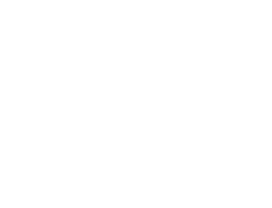 ACG-Logo-White-LG.gif