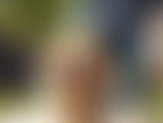 A happy golden retriever going on a walk with their owner