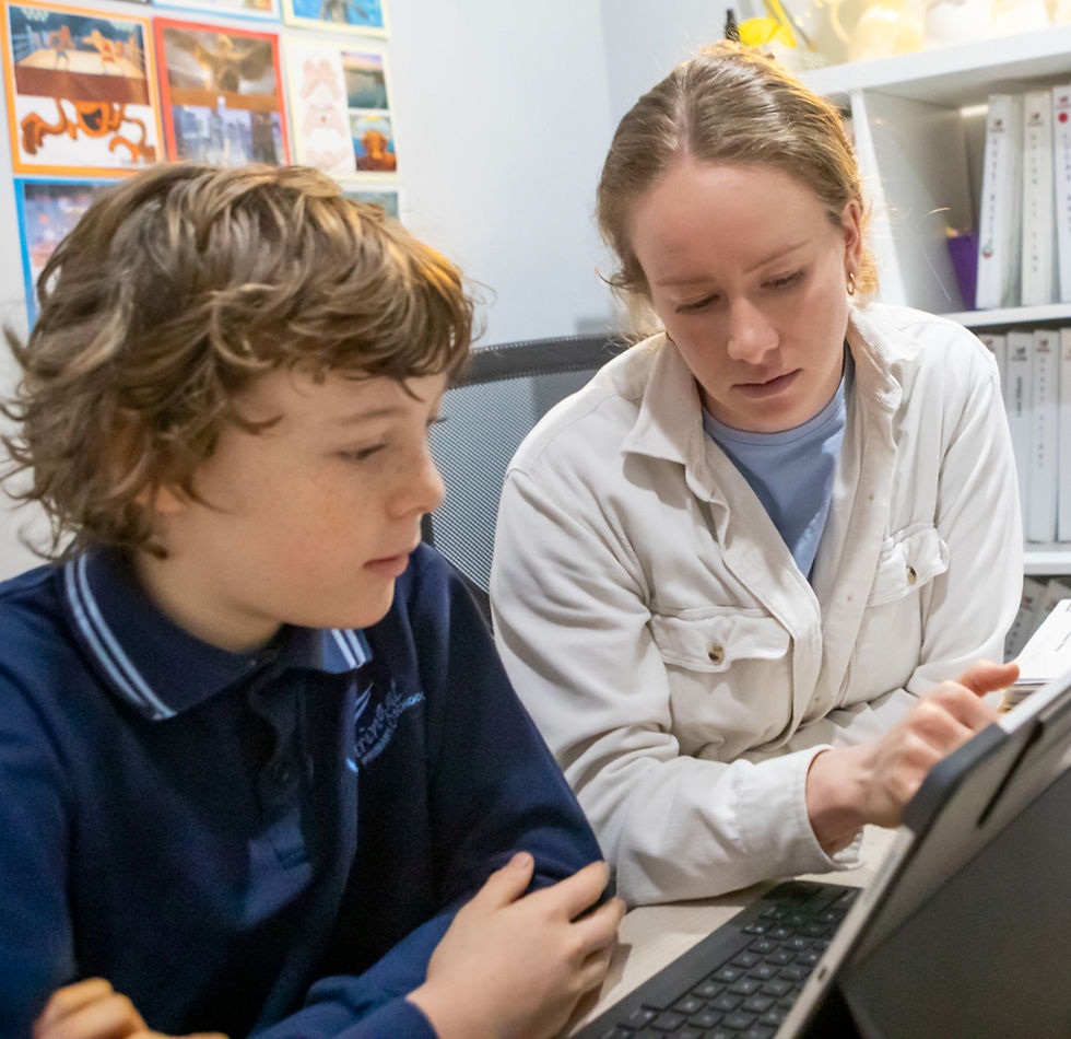 structured literacy support