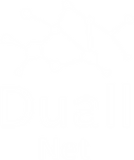 Esta é uma logo da empresa Duall Net. Empresa de internet localizada em Duas Barras RJ.