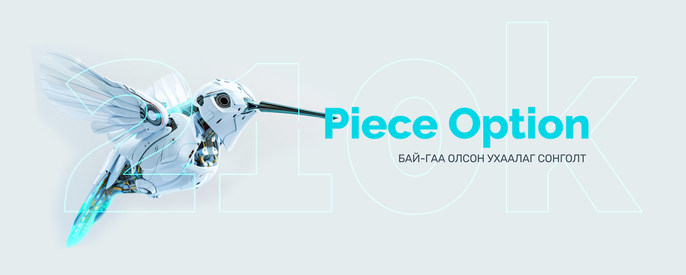 Peice Option (0-00-06-02).png
