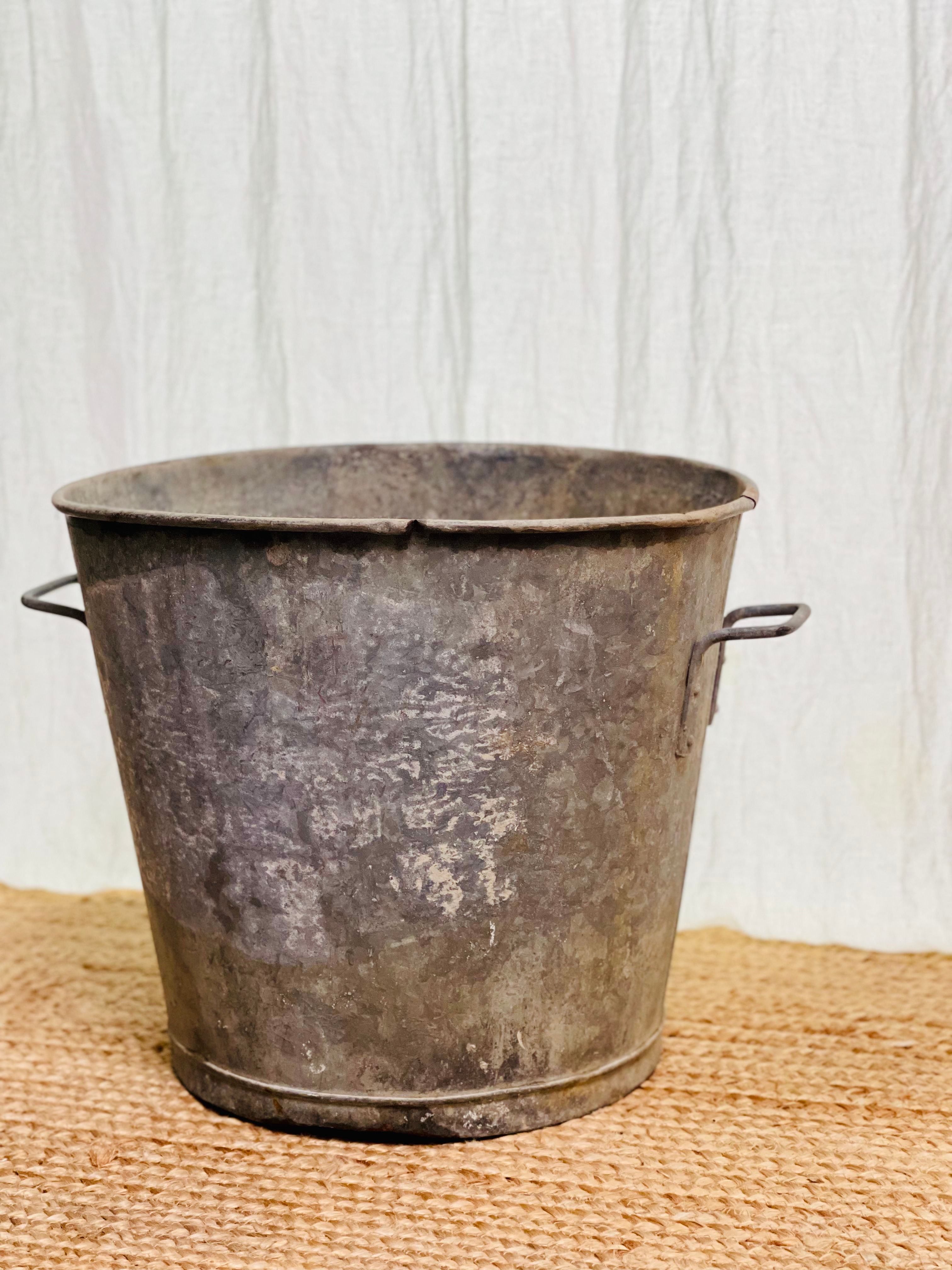 Bassine Dario