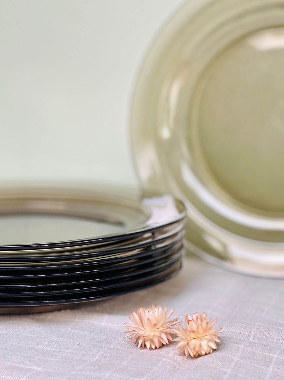 Miniature : 9 assiettes plates Lucie