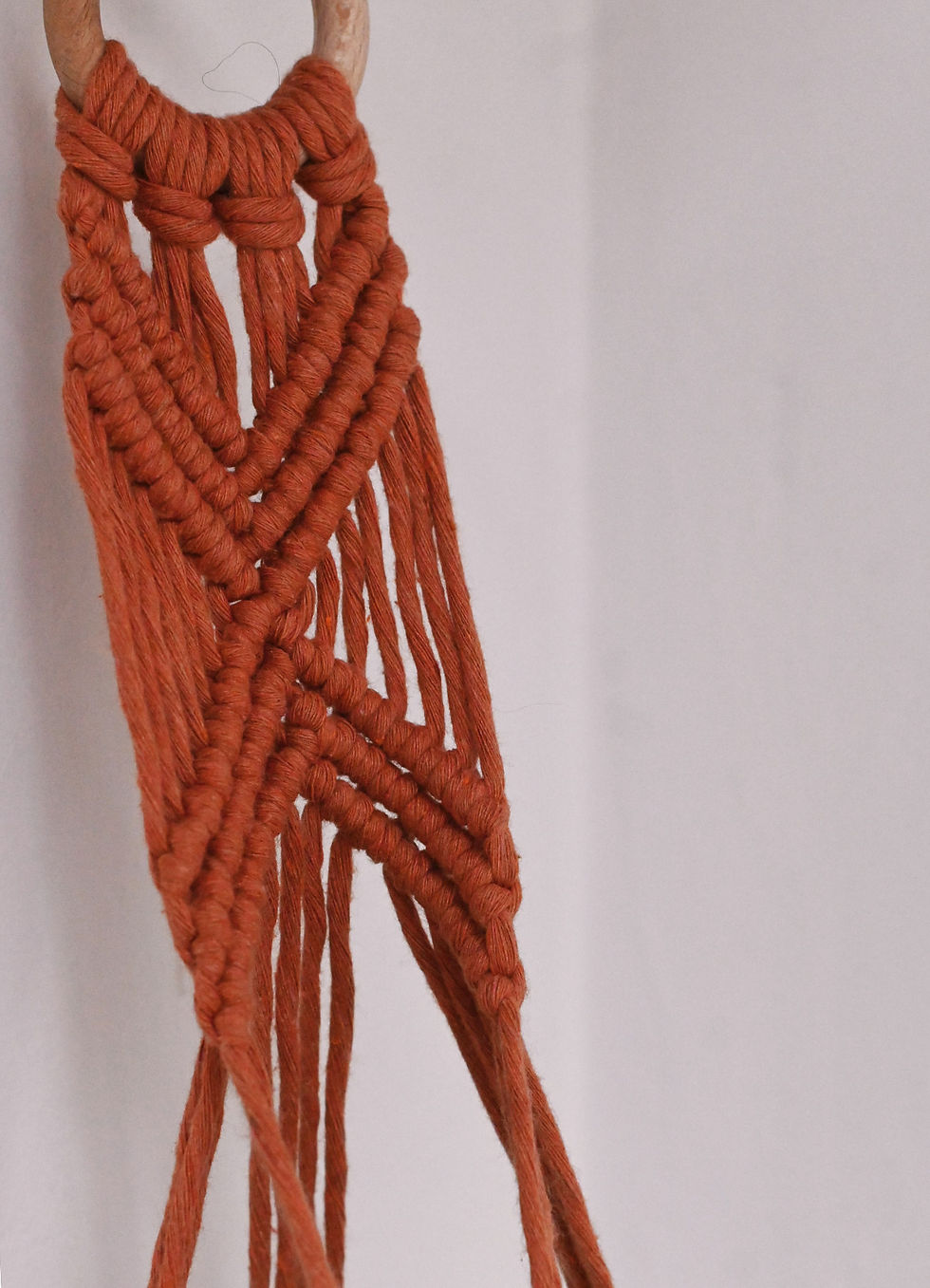 Miniature : Suspension pour plante Oxalys