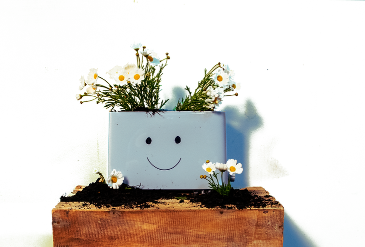 TOASTER.png
