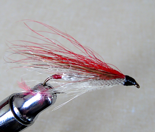 DSC02754_edited.png