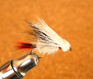 DSC02762_edited.jpg
