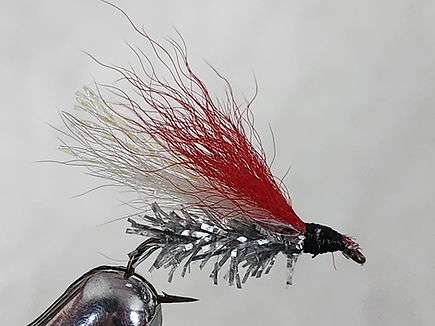 ticharle20250226_091816.jpg