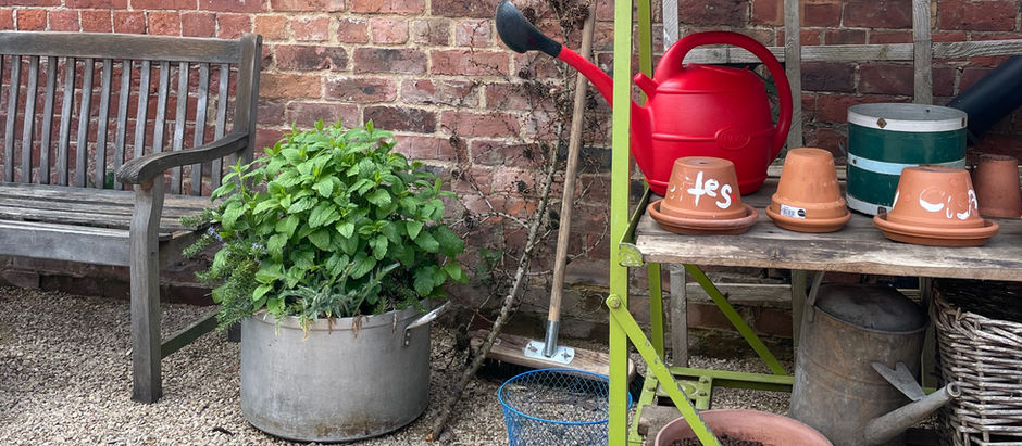 6 Ways to Create a Sustainable Diet By Emily Green