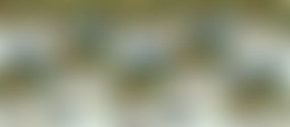 Book Review: How New to Eating Disorders Can Support Your Learning in Eating Disorders Care