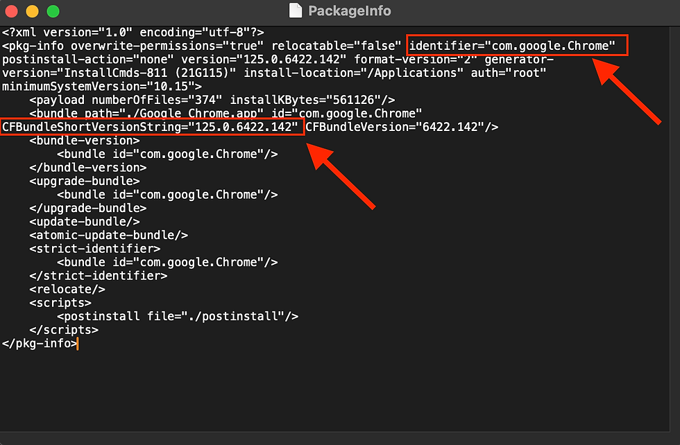 Viewing the CFBundleIdentifier and CFBundleShortVersionString values of a nested .pkg file.