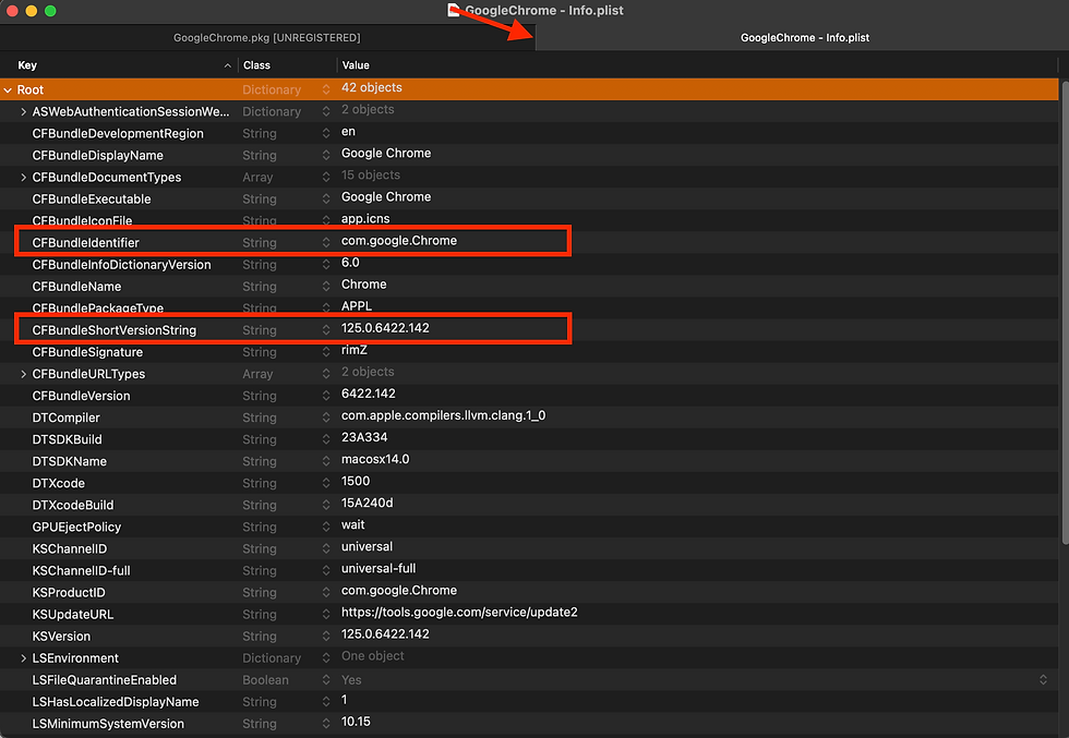 Using Pacifist to view the CFBundleIdentifier and CFBundleShortVersionString values.