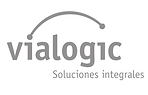 consultorÃa para empresa de tecnologÃas de la información