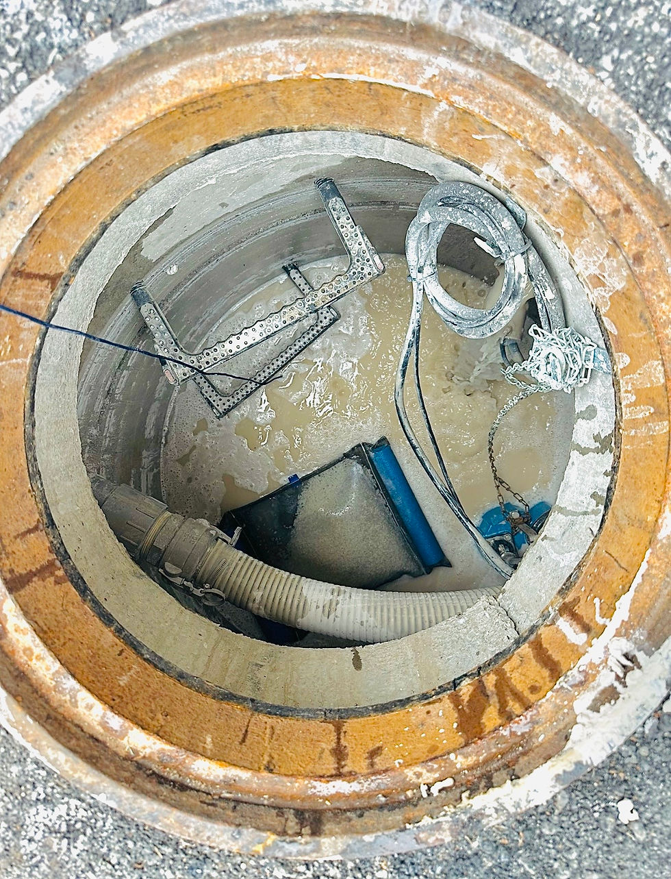 Thumbnail: WATER SKIMMER