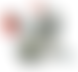 Avenge your Beast with Zeda 85 Firestorm True 85cc Engine Kit for Superior Performance