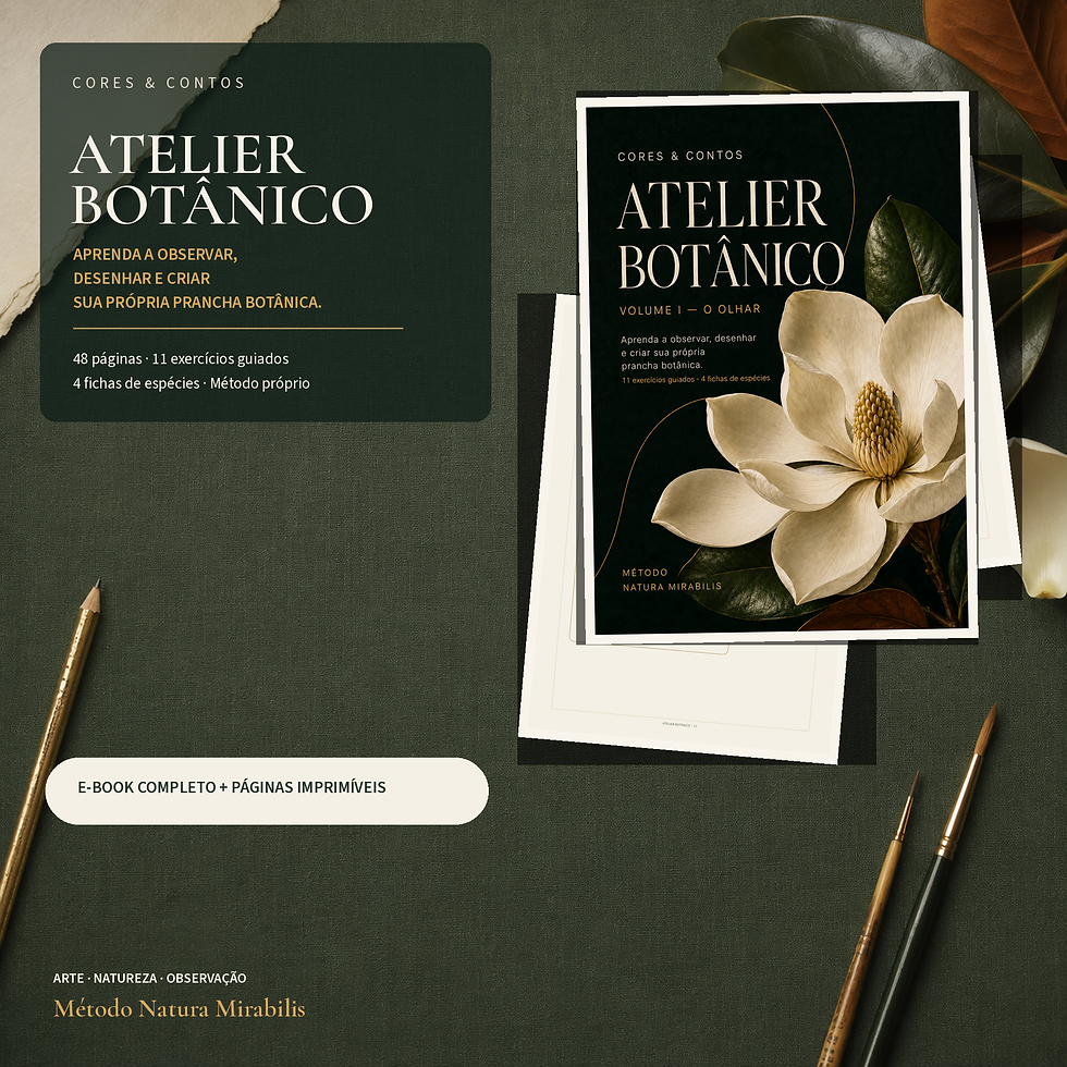 Atelier Botânico Volume I O Olhar da Cores & Contos