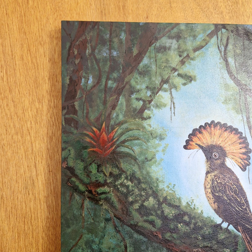 Miniatura: Detalhe da composição com Maria-leque, bromélia e vegetação em verdes profundos.