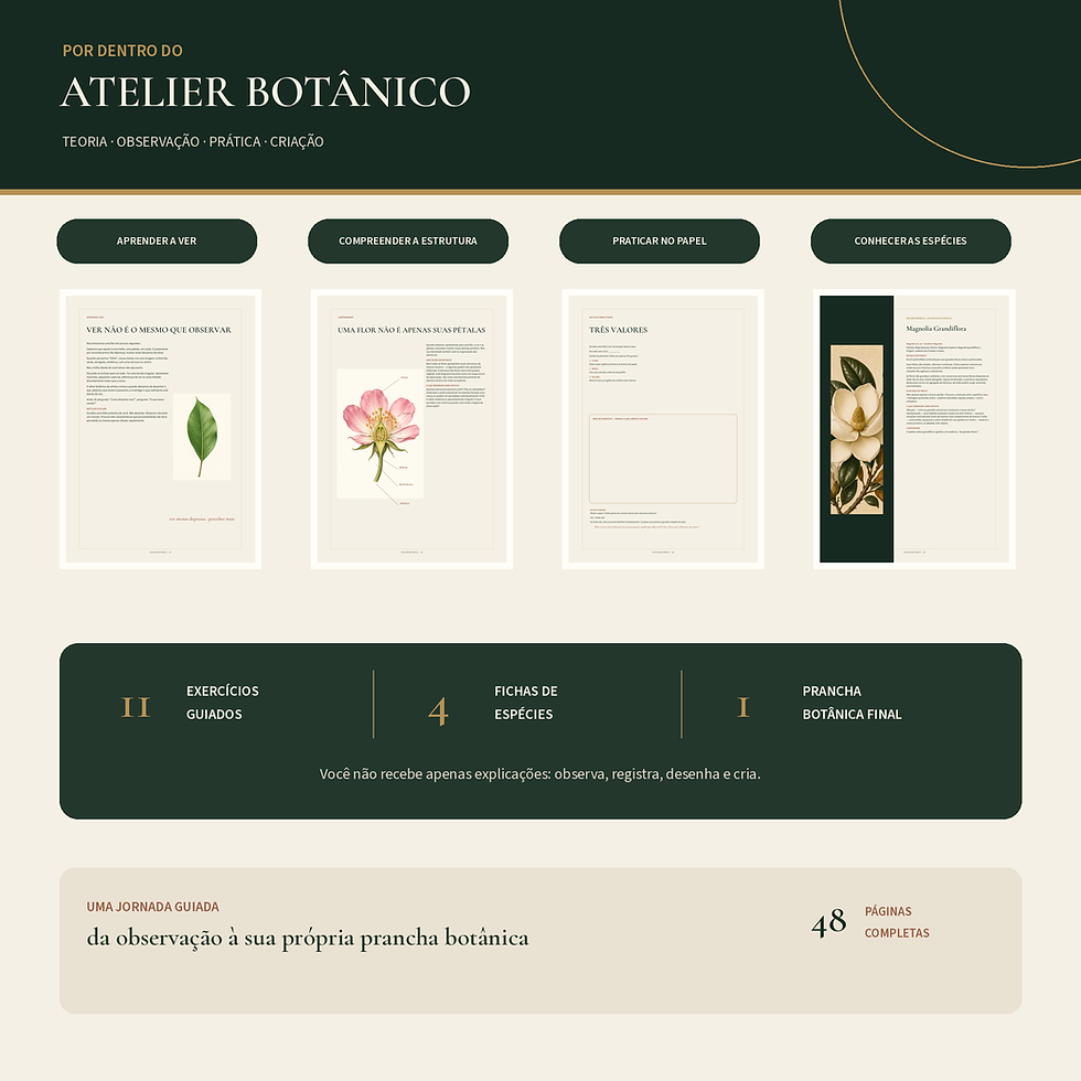 Páginas internas do Atelier Botânico Volume I O Olhar