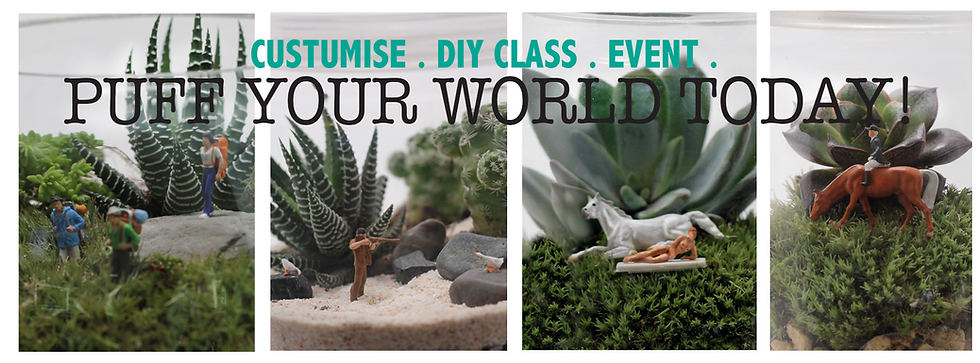 Puff Your World today.