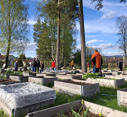 Pallesjarmen på Gråtenmoen bydelshus
