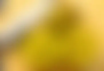 Nutrition Strategies to Improve Sleep: How the evening meal and kiwifruit can help