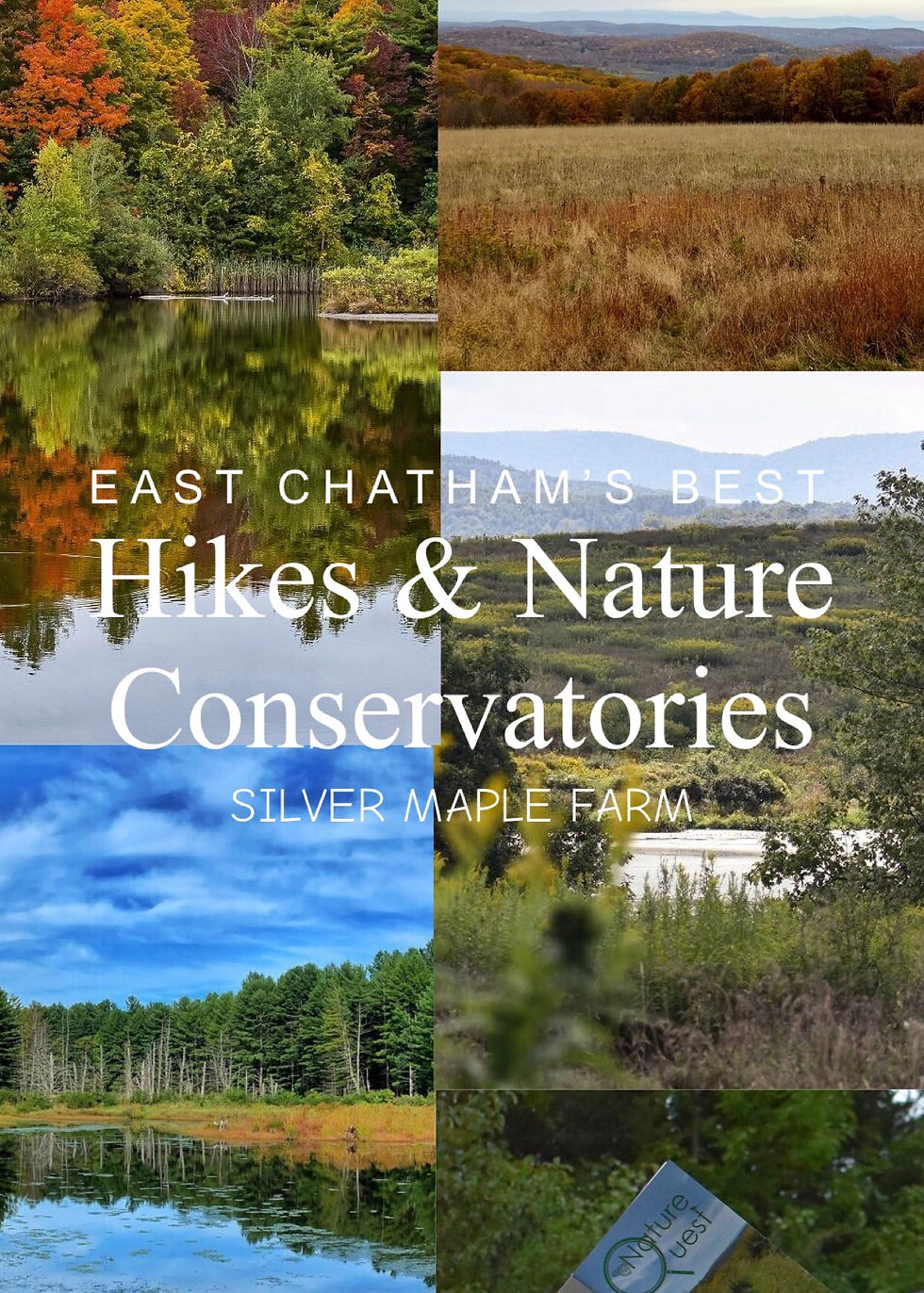 East Chatham’s BEST Hikes & Nature Conservatories 