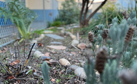 GardenPath.jpeg
