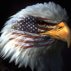 164042985-bald-eagle-wallpapers.jpg