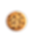 Chocolate Chip