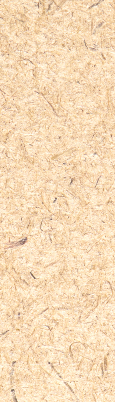 Tan Texture Bulletin Board